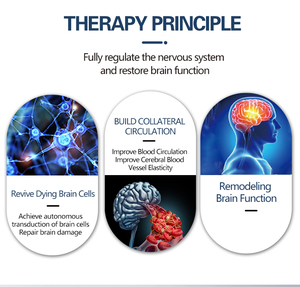 Transcranial Stimulation Equipment TMS Machine <strong>Therapy</strong> for Relieving Pain Cerebral Palsy Patients Physiotherapy Stimulating