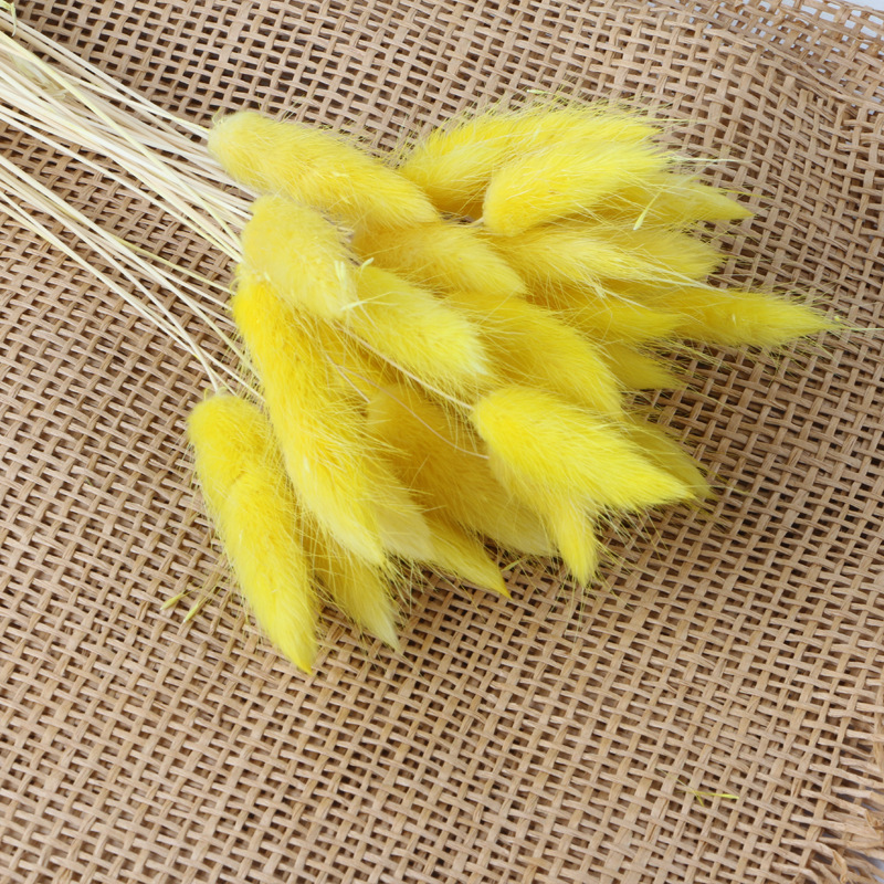 Jaune (env. 30 pièces)