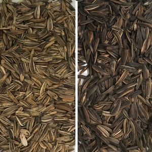 Macchina per la lavorazione dei piselli di smistamento del chicco di caffè di vendita caldo - Product Image 5