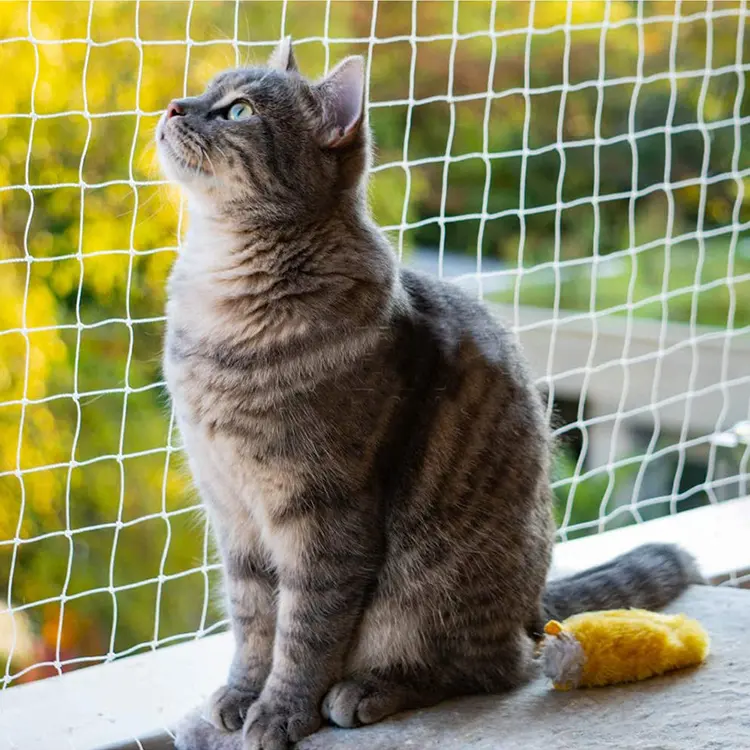 Rede seguro de proteção de gato da janela da fábrica da china gato varanda rede de proteção aplicar para portas rede de segurança para gatos