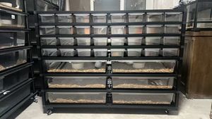 Metal çerçeve sürüngen yetiştiriciliği raf Pet plastik kemirgen yılan küvet kabin rafı sistemi için top Python kertenkele - Product Image 2