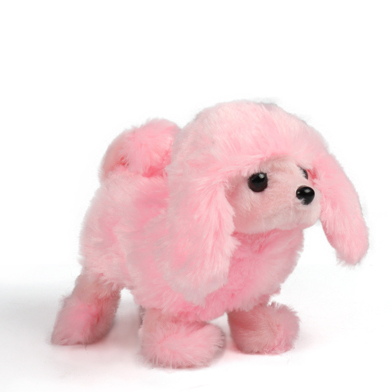 caniche