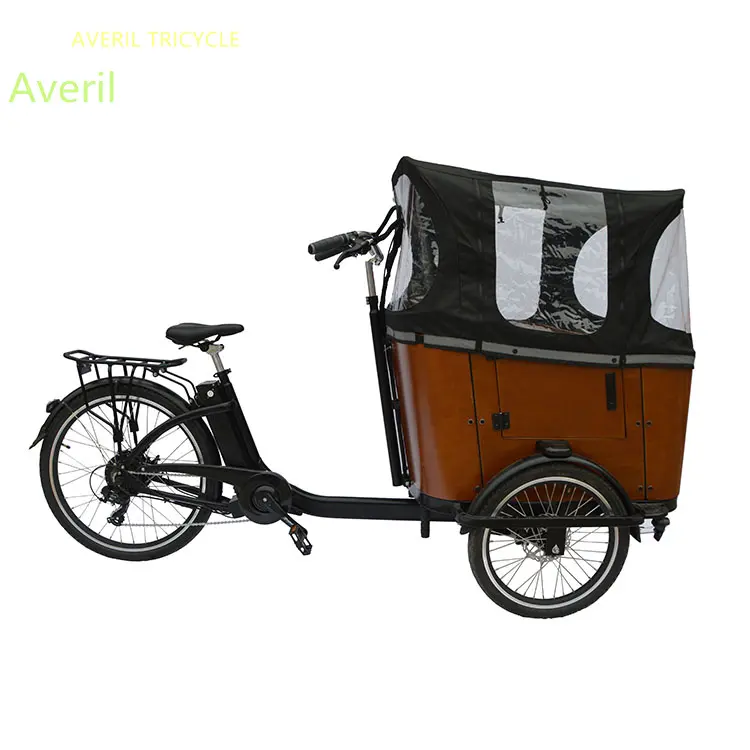 Kosten günstiger Alloy Frame Family Use Nehmen Sie Kids Electric 3-Rad-Dreirad für Erwachsene Velo Cargo Electric Bike
