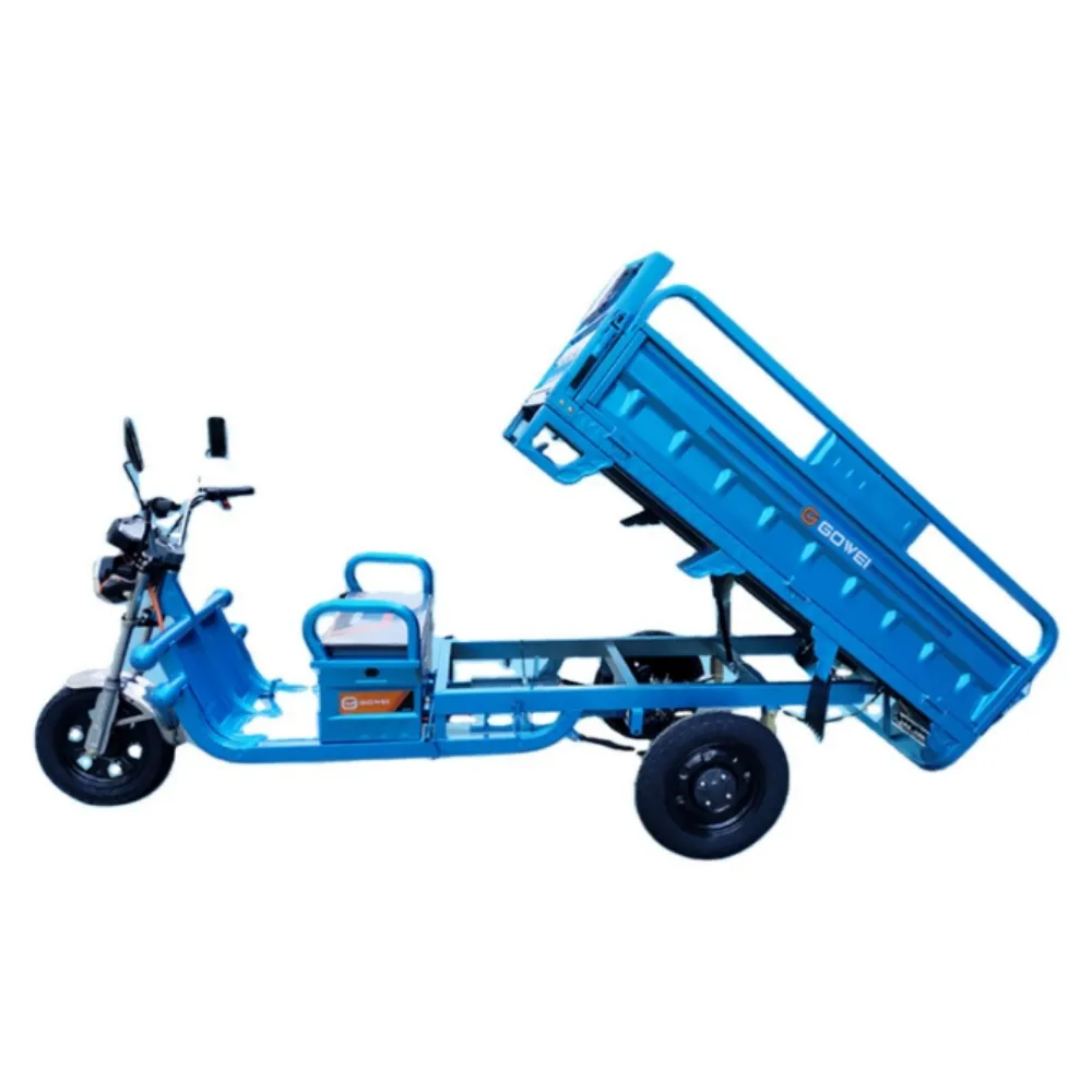 1000W semplice E Cargo Trike tricicli elettrici 60V 1200W 45A 3 ruote bici con grande scatola per le merci per gli adulti