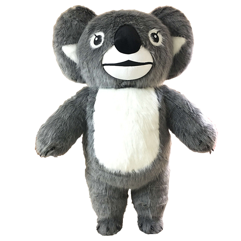 Gray koala