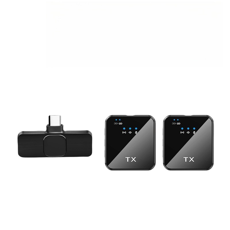 2 Mics for Type-c