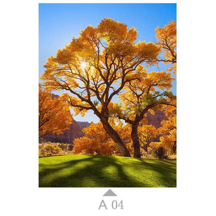 Multicolor-A04