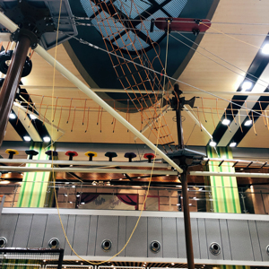 Cao độ cao trò chơi tùy chỉnh sân chơi trong nhà dây tất nhiên thiết bị vui chơi giải trí công viên - Product Image 4