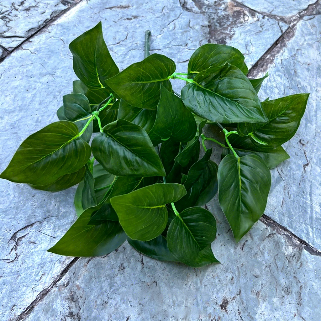 Mettez un bouquet de feuilles de pommier vert