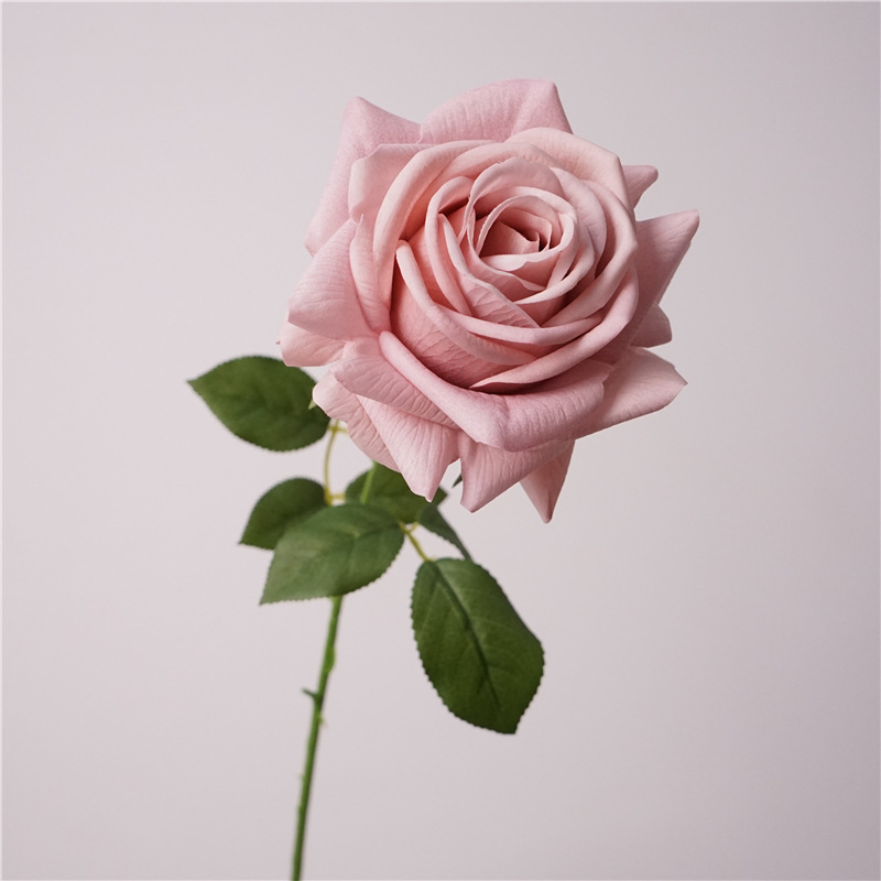 Rosa turca idratante a stelo singolo - rosa autunnale