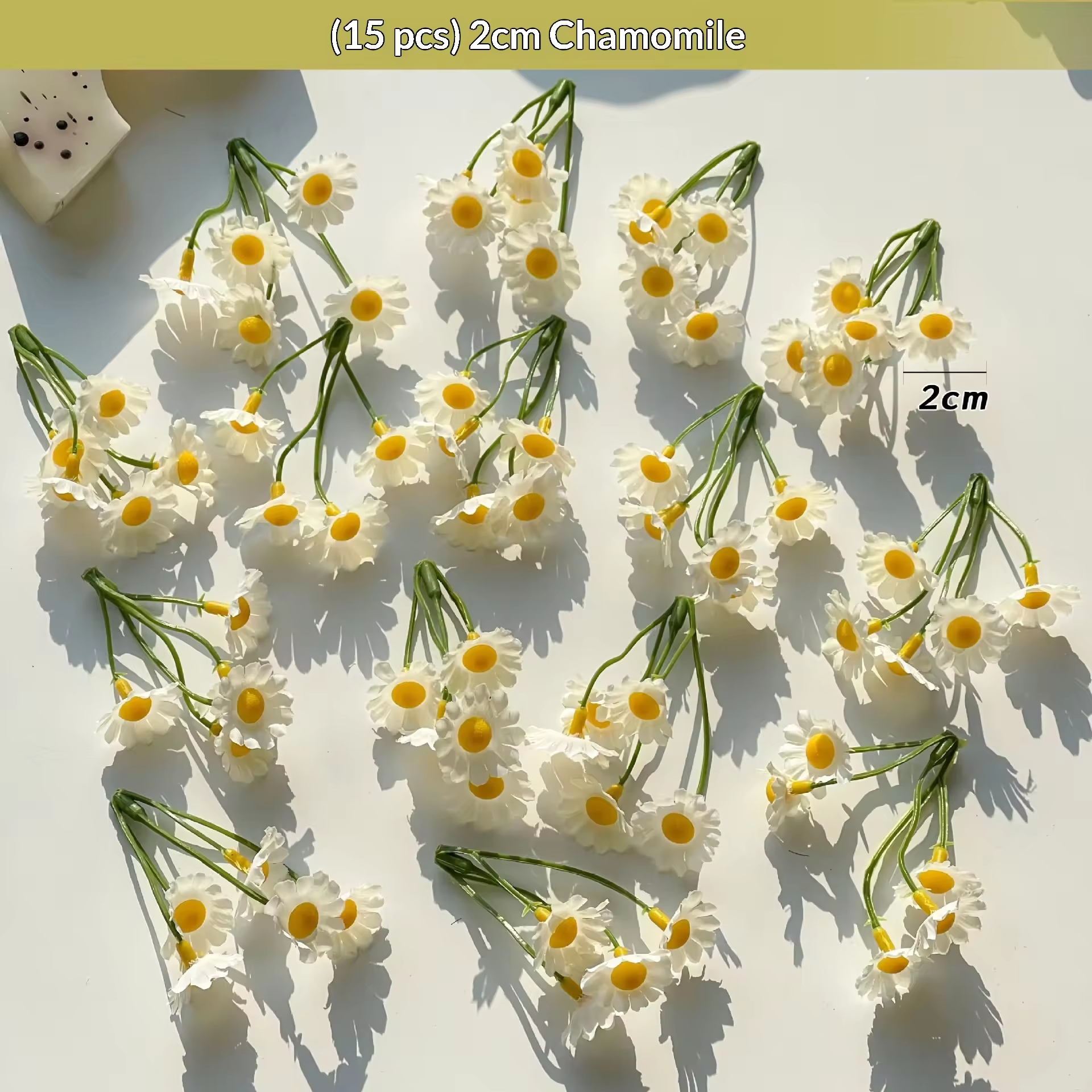 (15 fleurs) 2 cm de camomille