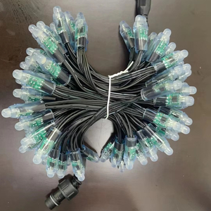 Рождественский полноцветный 12 мм пиксельный светодиодный модуль DC5V/12V для длинного уличного и садового освещения - Product Image 1