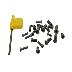 数控工具零件梅花硬质合金插入螺钉平头松托螺钉硬质合金插入梅花螺钉用于切削工具M1.8-M6 - Product Image 1