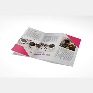 Three Fold Color Page Printing of Product User Manual, Making Brochures, Brochures, Sample <strong>Booklets</strong> - Product Image 4