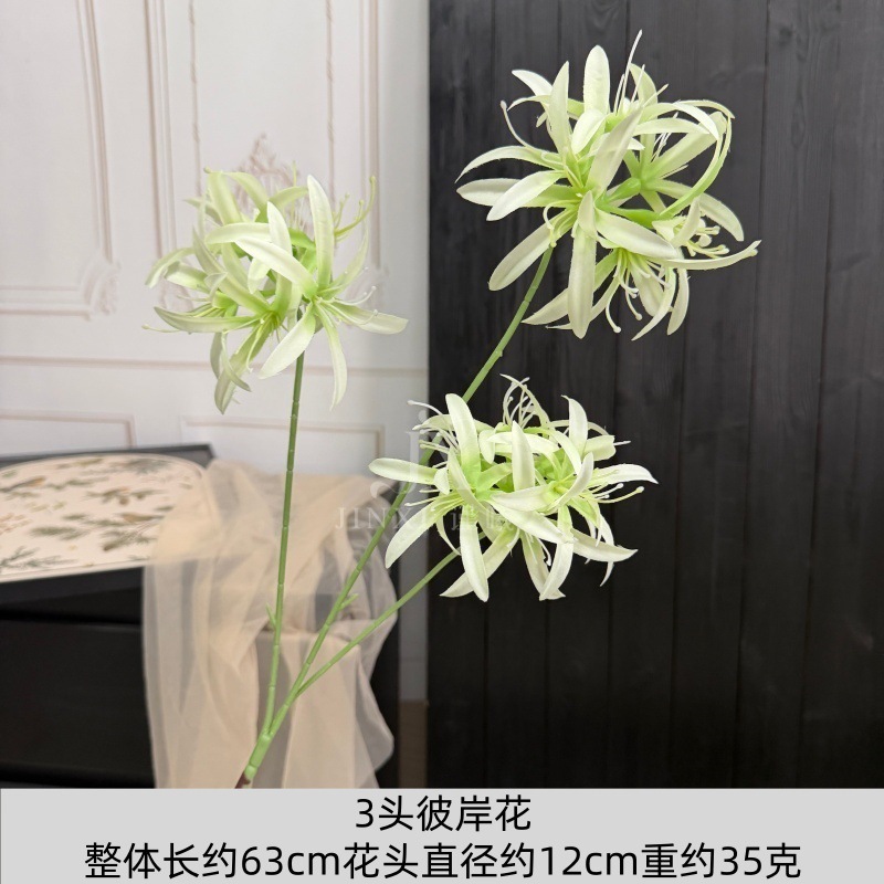 3 têtes de lys araignées