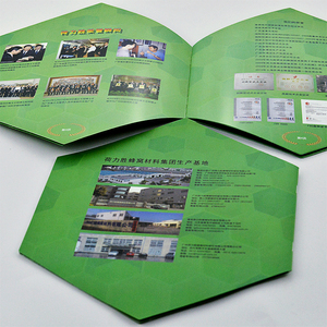 2025定制小册子目录和小册子压花印刷纸板胶印纸书型产品 - Product Image 3