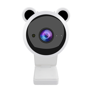 Danwish HD 1080P内蔵WebカメラMIC CMOSセンサービデオチャット用オンラインクラスとPCラップトップミーティングネットワークカメラ - Product Image 3