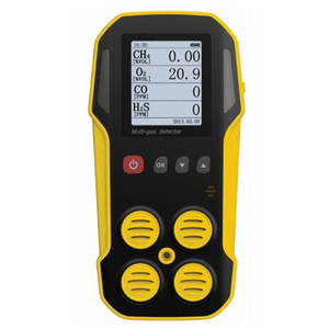 Portable Multi Gas <strong>Detector</strong> 4 Gas Monitor with <strong>UK</strong> City Expert High Quality Sensor (H2S, O2, CO, and Ex ) 4 Gas <strong>Detector</strong> - Product Image 1