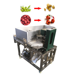 Macchina per la rimozione delle sementi per la lavorazione delle date automatiche industriali - Product Image 5