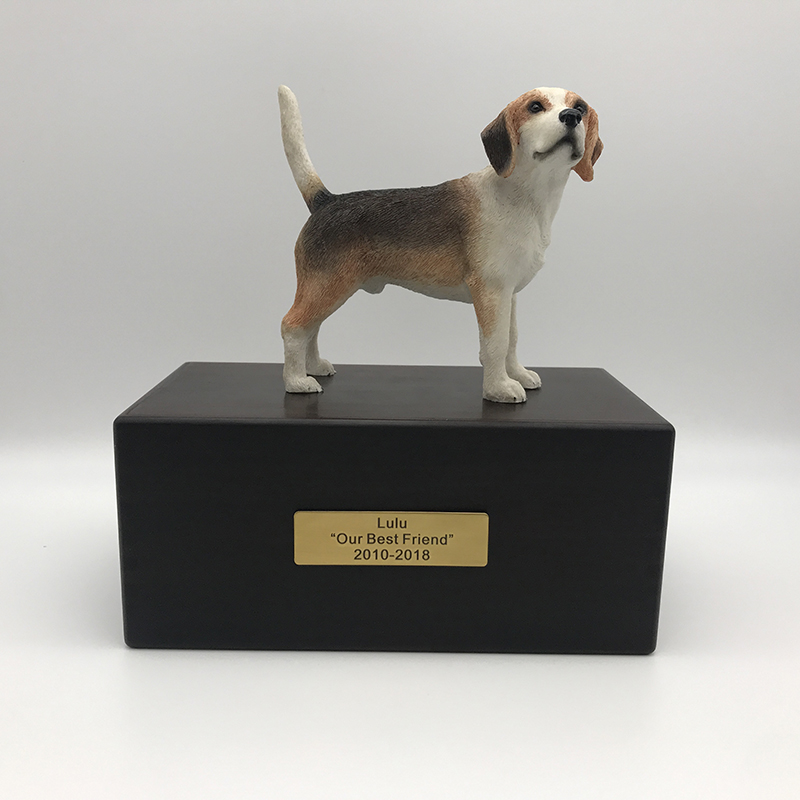 Beagles