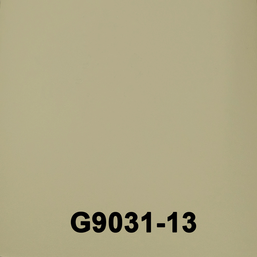 G9031-13