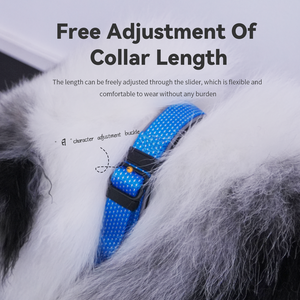 Collier et laisse pour chien épais et confortable à la mode - Product Image 5