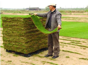 Hiệu quả cao tự động Lawn transplanter nhân tạo soạn thảo Máy bóng đá lĩnh vực Xanh <span class=keywords><strong>Turf</strong></span> transplanter - Product Image 3