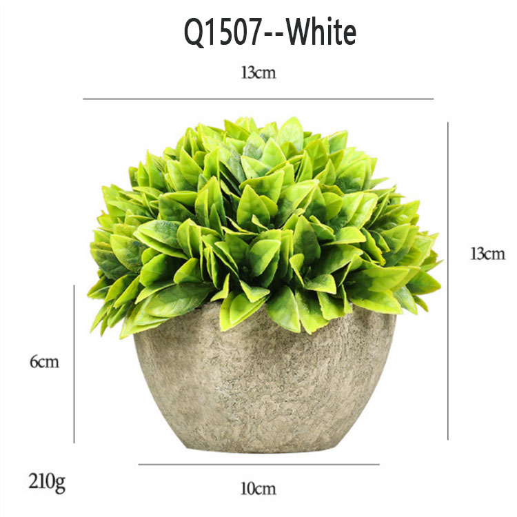 Q1507 -- Blanc