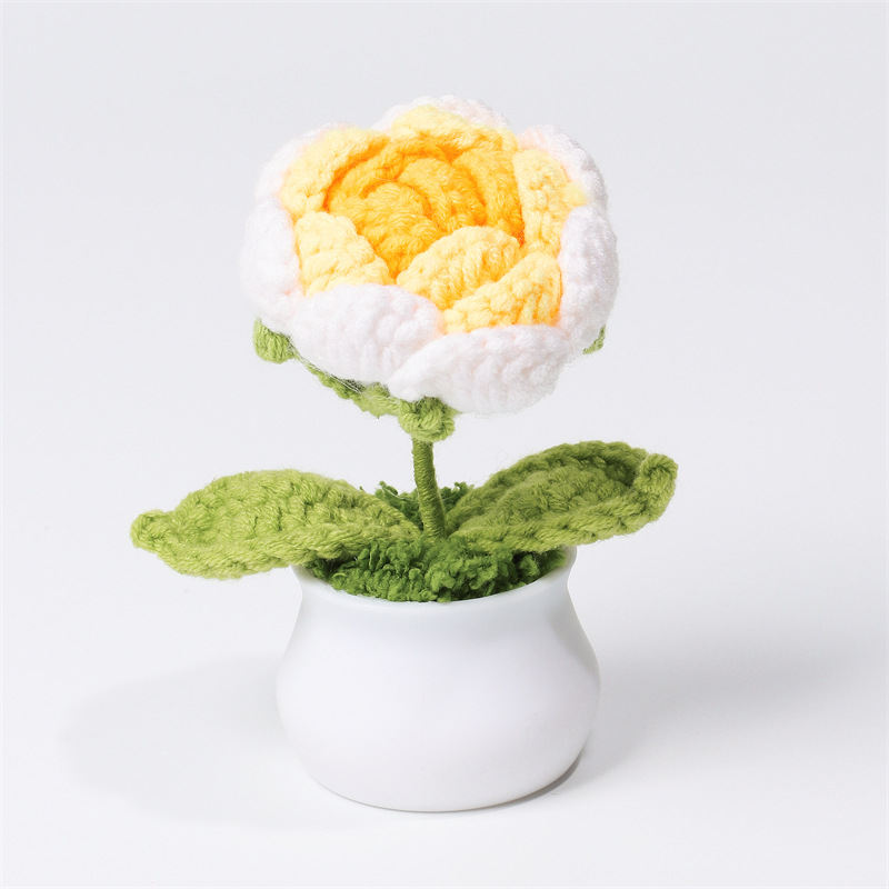 Rose gradient yellow