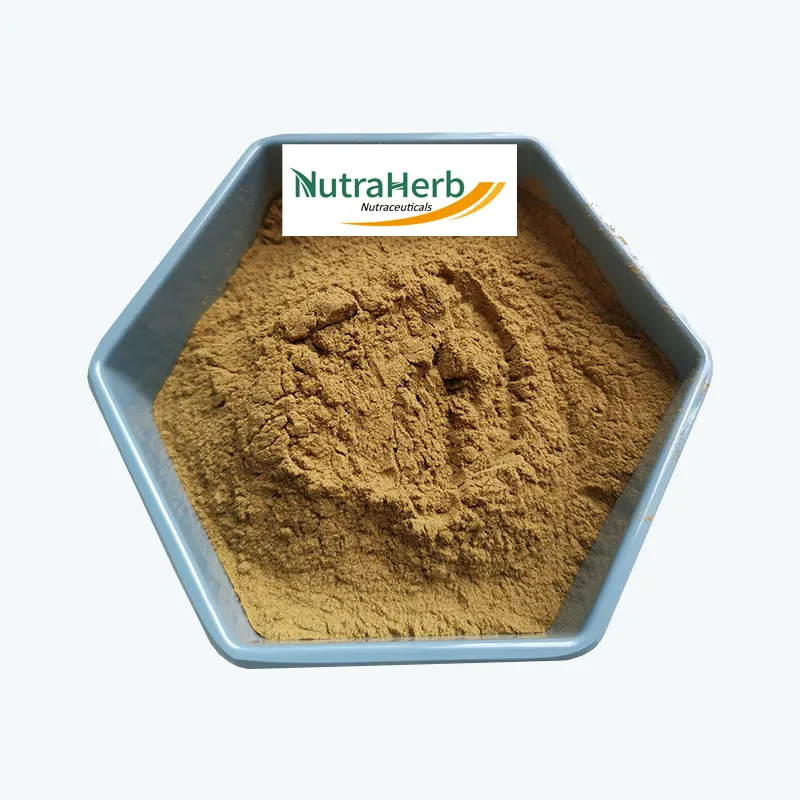 Supply Chaga Mushroom Extract 10% Polysaccharides Water Soluble Nutritional Supplement Chage Mushroom Extract Powder