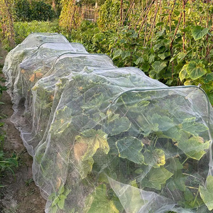 Jaring pelindung serangga, 40 jala 1x5m jaring kontrol hama taman Anti burung PERLINDUNGAN PENUTUP UNTUK sayuran bunga buah pohon naungan jaring - Product Image 6