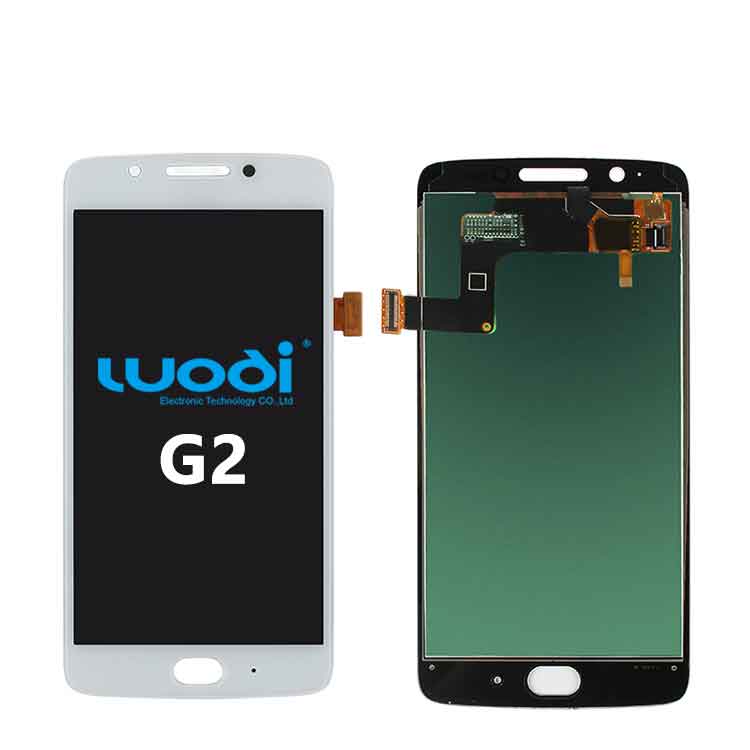 G2