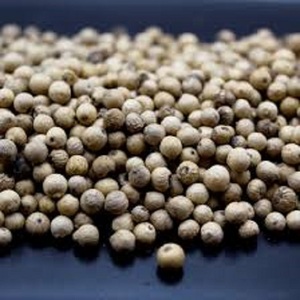 販売食品グレードサラワクホワイトペッパースパイス野生栽培ハーブエキス粉末工場価格バイヤー向け