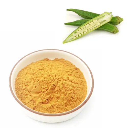 Best Price of Organic Okra Root Extract Powder With Stock