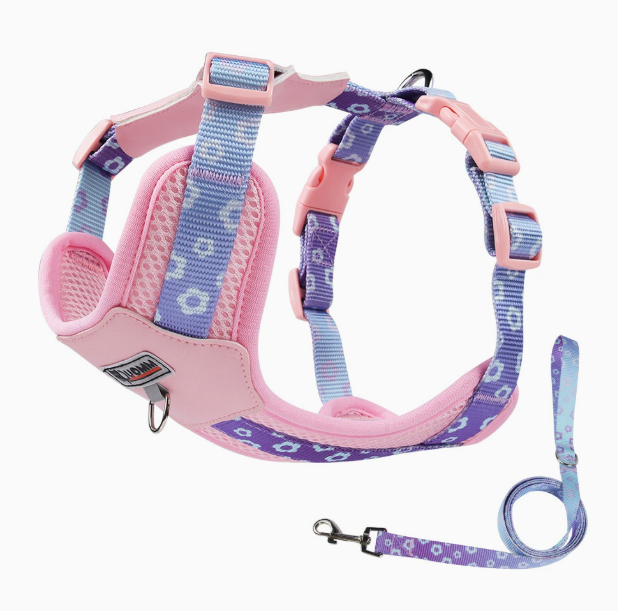 Pink harness and leash