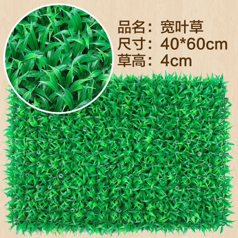 Herbe à larges feuilles