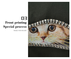 T-7563工場ラインストーンデザインクリスタルダイヤモンドパターン虹鉄文字猫熱転写ラインストーントップカスタム - Product Image 5