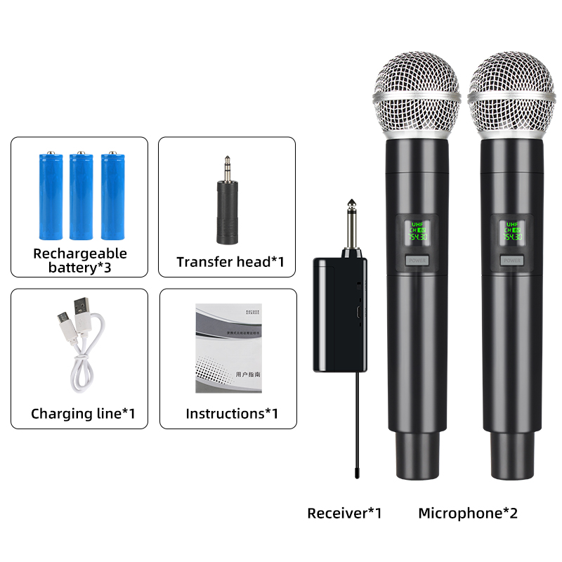 with two mic