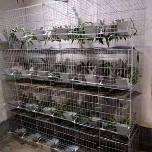 镀锌兔笼廉价商用兔笼耐用提供兔笼出售2023畅销 - Product Image 2