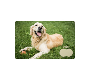 Tùy chỉnh PVC IC thẻ thông minh trống EMV thẻ thanh toán Giao Diện Kép Nhựa trả trước Visa thẻ tín dụng - Product Image 2