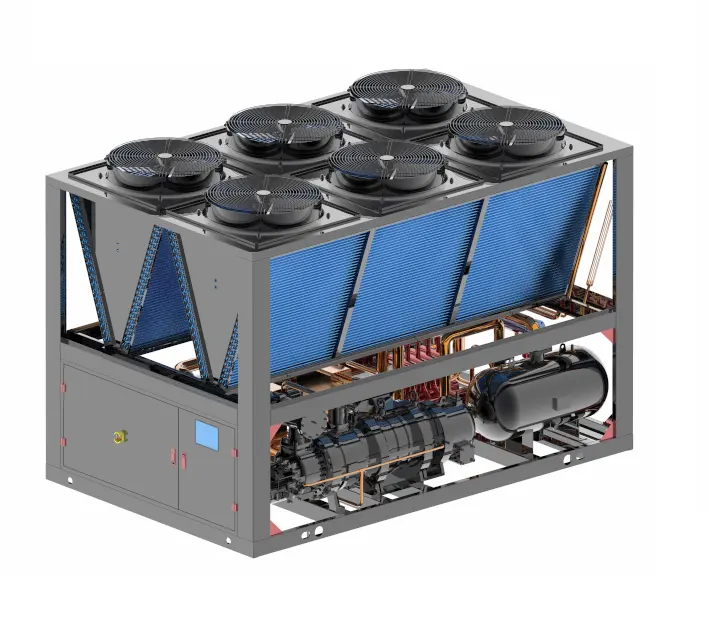 Centrale pompa di calore di fonte di aria a pompa di calore raffreddato ad aria a vite pompa di calore R1234