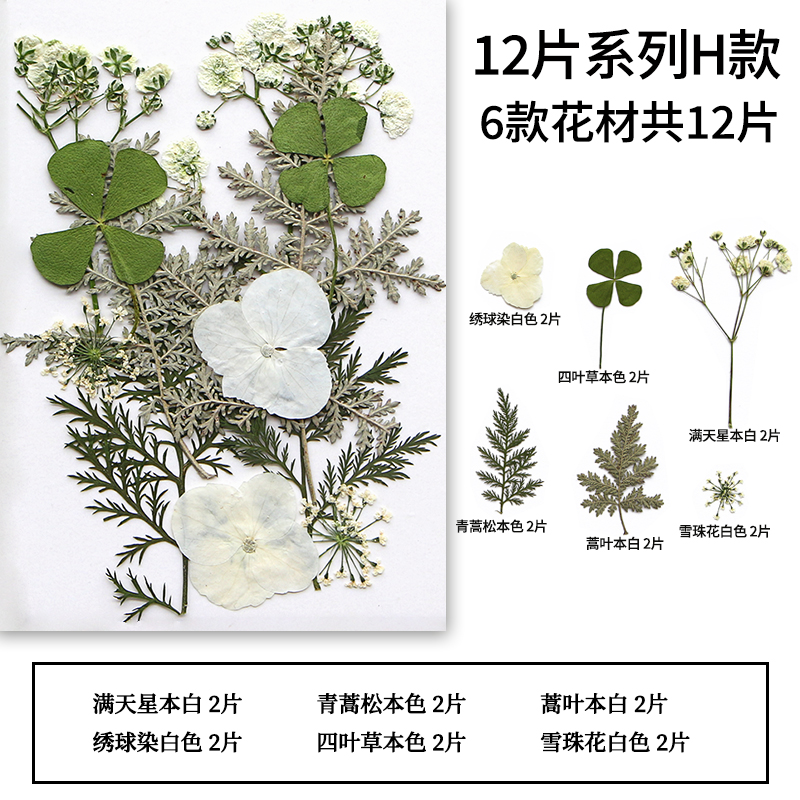 Style H 12 pcs/sac