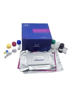 EasyStep İnsan VASP (vasodilatör uyarılmış fosfoprotein) ELISA seti, hızlı test, sadece 1.5h - Product Image 6