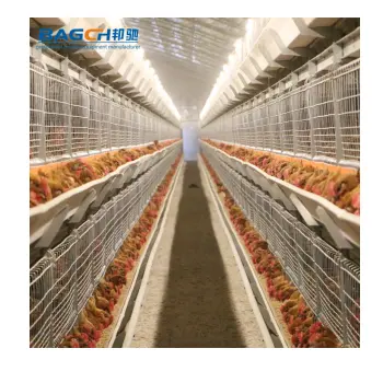 Automatic and convenient broiler multi-layer chicken cages are suitable for poultry farms to raise broilers to form chicks