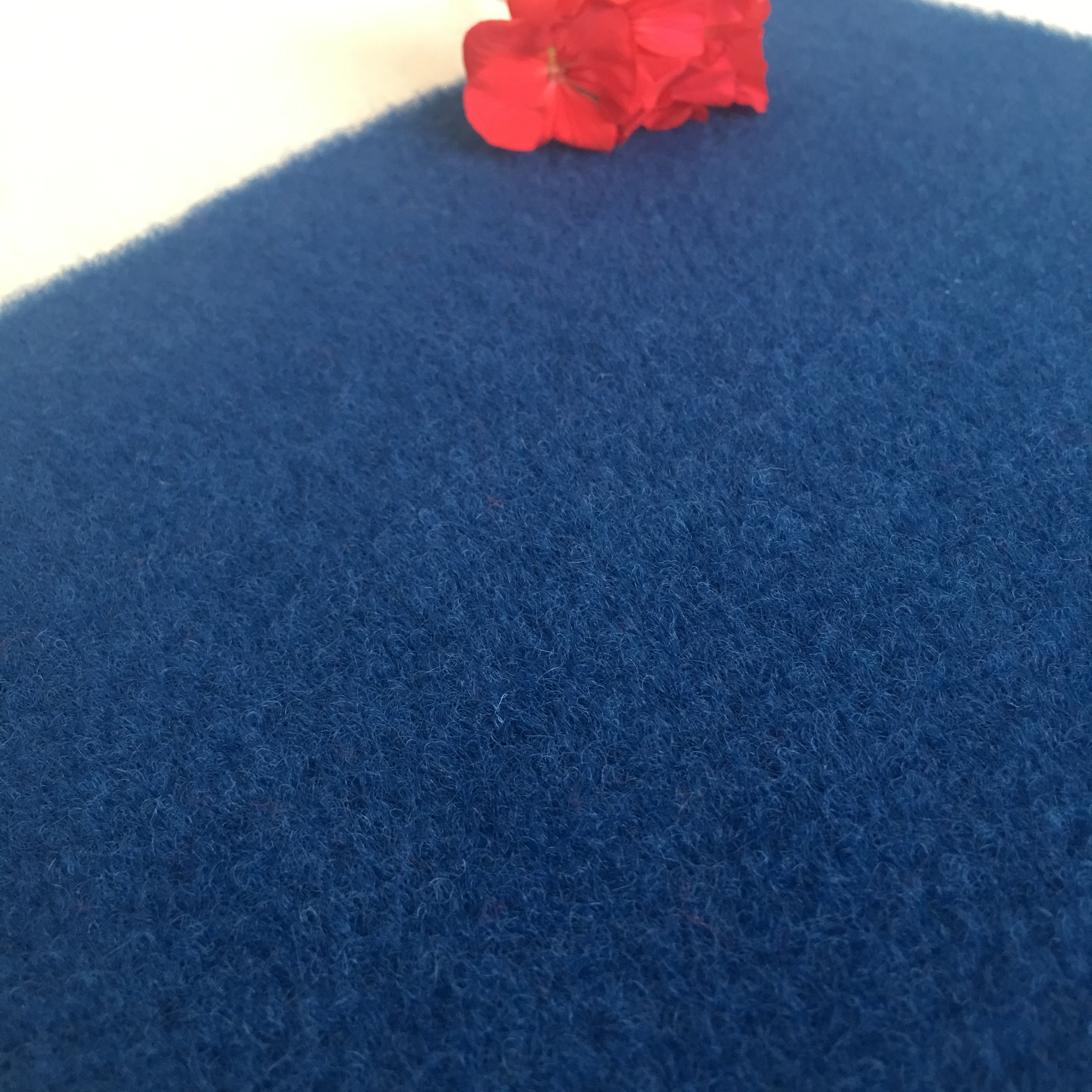 Bleu