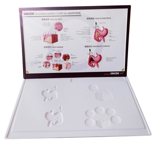 定制安装解剖图 3D 效果墙压花医疗海报 - Product Image 1