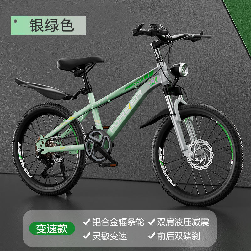 Argent-vert (support de roue à rayons à vitesse variable)