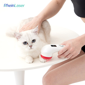 מכשיר שיקום לייזר טיפול תדרים נמוך 808nm 650nm עם תצוגה לבעלי חיים - Product Image 1