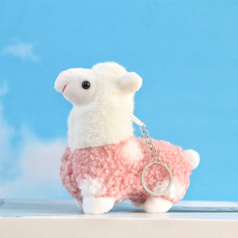 Rose/12À propos de CM