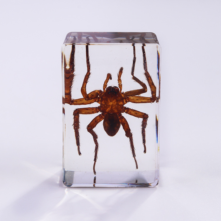 Araña Peluda